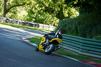 cadwell-no-limits-trackday;cadwell-park;cadwell-park-photographs;cadwell-trackday-photographs;enduro-digital-images;event-digital-images;eventdigitalimages;no-limits-trackdays;peter-wileman-photography;racing-digital-images;trackday-digital-images;trackday-photos
